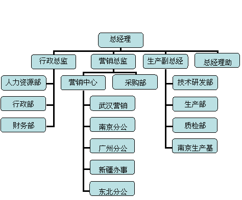 組織結構圖